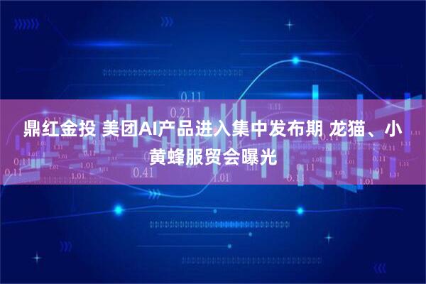 鼎红金投 美团AI产品进入集中发布期 龙猫、小黄蜂服贸会曝光