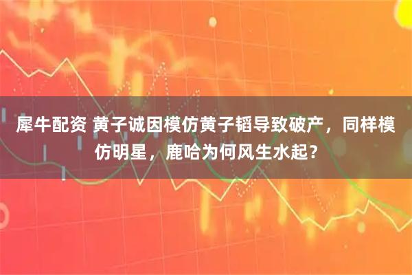 犀牛配资 黄子诚因模仿黄子韬导致破产，同样模仿明星，鹿哈为何风生水起？