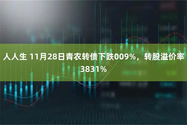 人人生 11月28日青农转债下跌009%，转股溢价率3831%