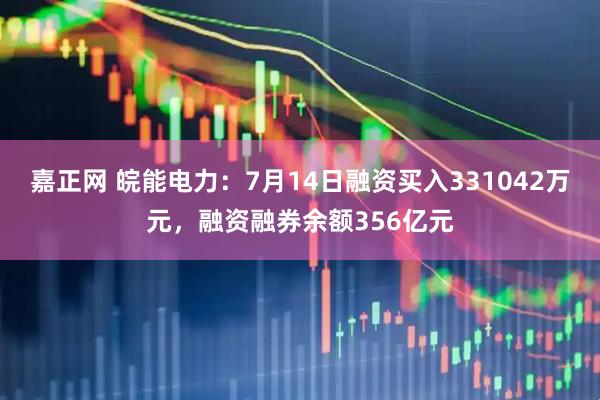 嘉正网 皖能电力：7月14日融资买入331042万元，融资融券余额356亿元