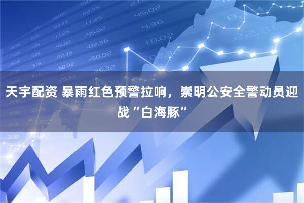 天宇配资 暴雨红色预警拉响，崇明公安全警动员迎战“白海豚”